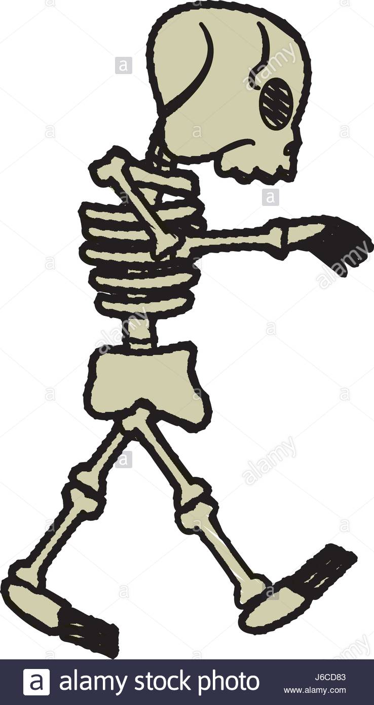 738x1390 Halloween Skeleton Cartoon Stock Photos Amp Halloween Skeleton