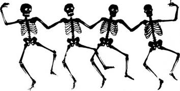 354x180 Skeletons Clipart