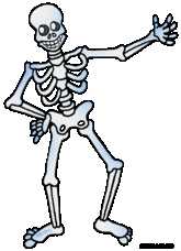 165x228 Skeleton Clip Art 4 476x648 Clipart Panda