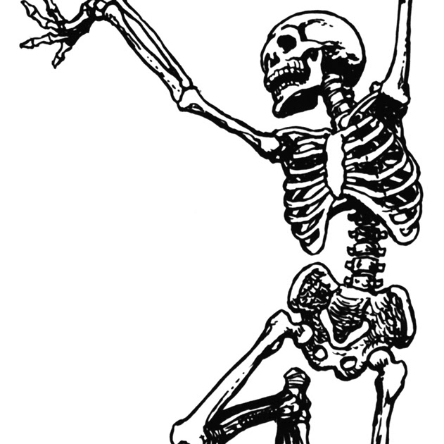 631x630 Dancing Skeletons Clip Art