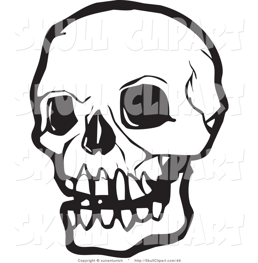 1024x1044 Human Skeleton Clipart Group