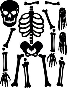227x300 Best Skeleton Template Ideas Skeleton Craft