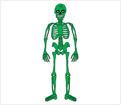402x351 Bones Clipart Skelton 2553555