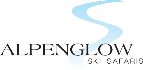 490x241 Scenic W Skier