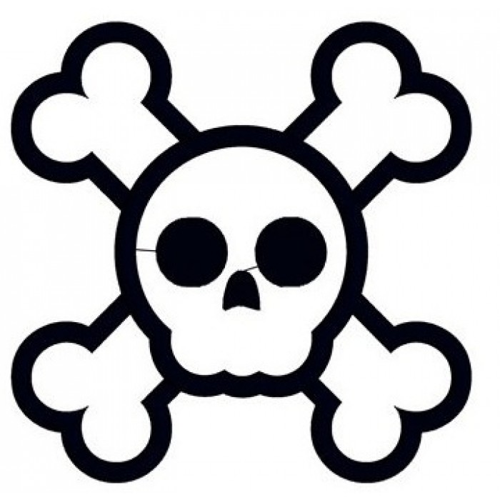 700x700 Skull And Bones Applique