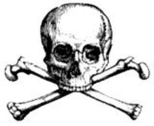 300x246 Free Skull Clip Art For The Hard Headed