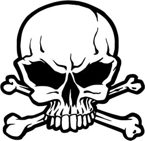 300x292 Skull And Crossbones Jolly