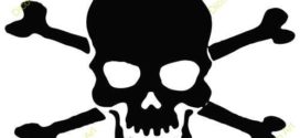 272x125 Skull And Crossbones For Preschoolers Clipart