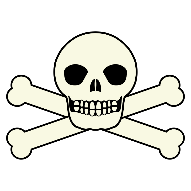 800x800 Skull Images Free Download