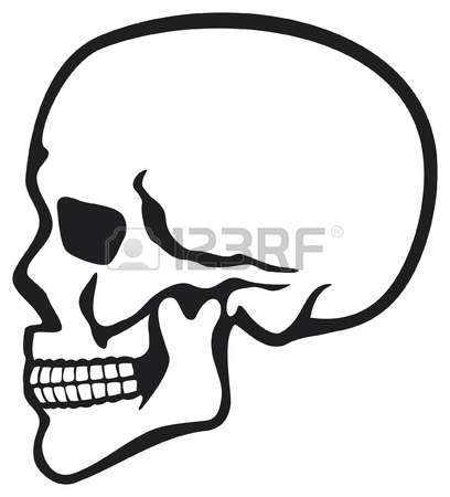 408x450 Skull Clipart Hand