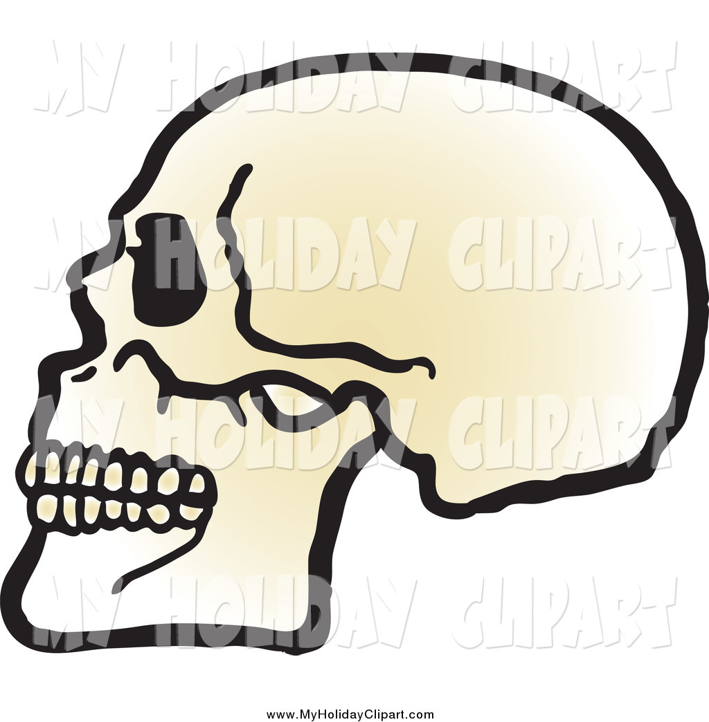 1024x1044 Clip Art Of A Human Skull With Teeth By Snowy