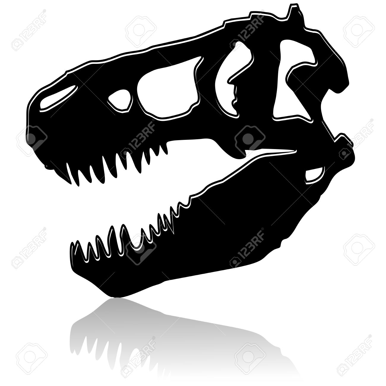 1300x1300 T Rex Skull Clipart Amp T Rex Skull Clip Art Images