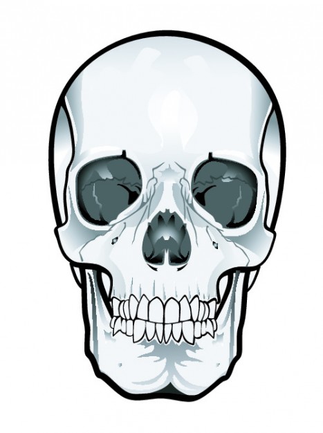 467x626 Frontal Skull Clipart Vector Free Download