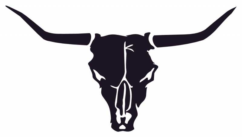 800x455 Bull Skull Pictures Free Download Clip Art Free Clip Art