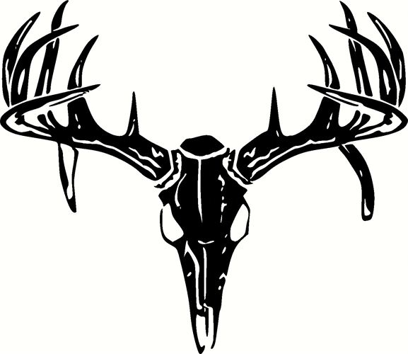 577x500 Best Deer Skull Clip Art