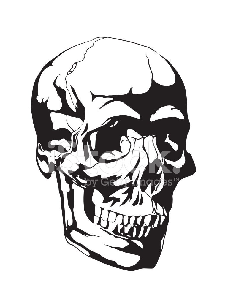 768x1024 Skull Anatomy Drawing Image Collections