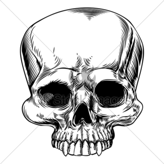 325x325 Skull Drawing Gl Stock Images