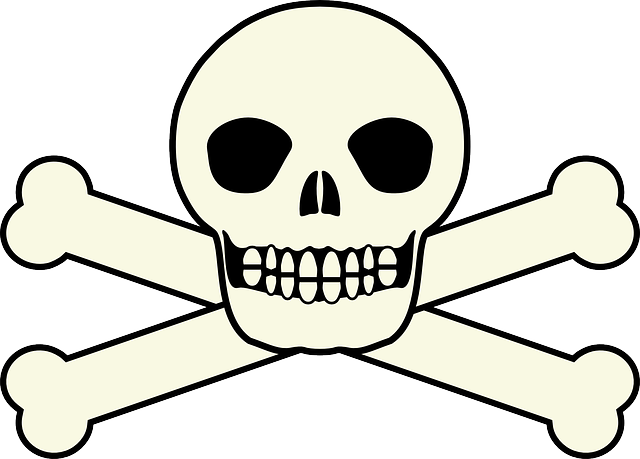 640x459 Free Pictures Skull