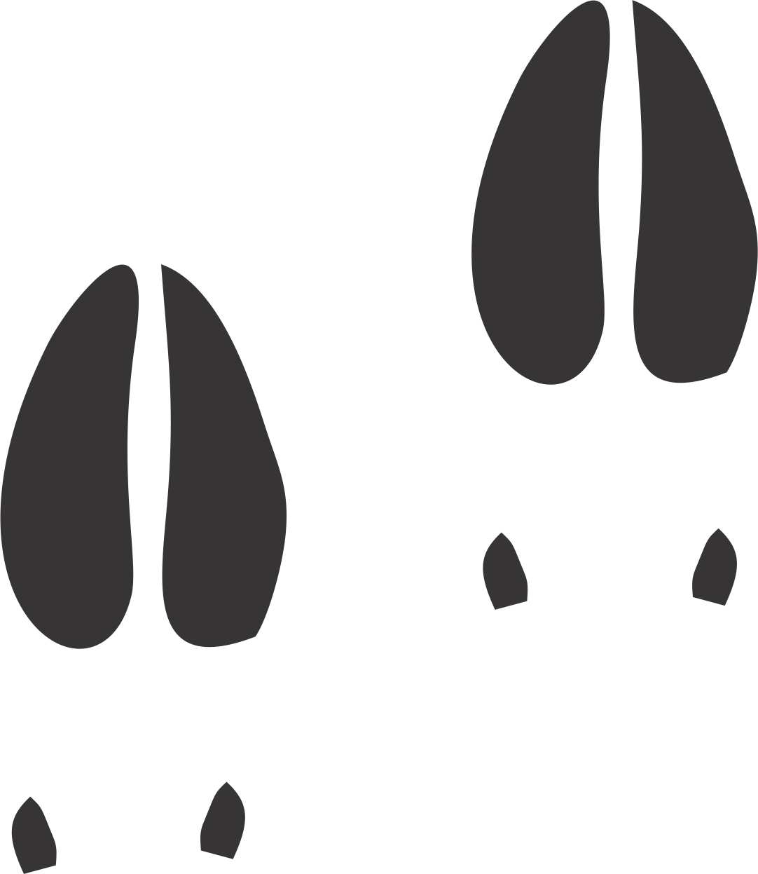 1082x1247 Elk Tracks Clipart