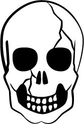 167x246 The Best Skull Silhouette Ideas Sugar Skull