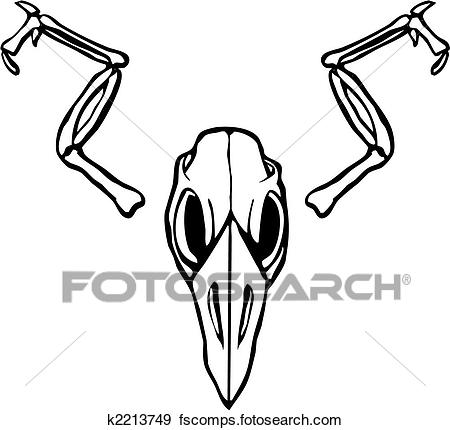 450x430 Clip Art Of Bird Skull