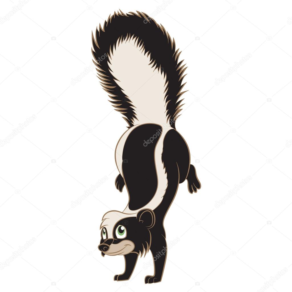 1024x1024 Cartoon Skunk Stock Vector Kolonorf