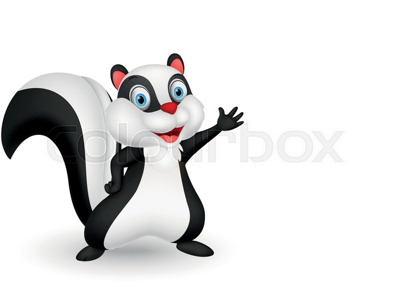 800x575 Vector Illustration Of Cute Skunk Cartoon Presenting Stock