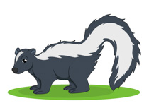 210x153 Free Skunk Clipart