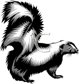 329x350 Picture Of A Cartoon Skunk In A Vector Clip Art Illustration