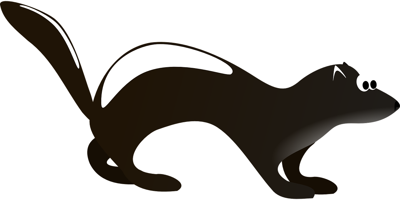1280x640 Skunk Small Mammals Clip Art Image