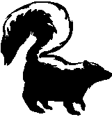 161x167 Skunk Clipart Skunk Clip Art
