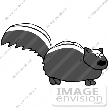 450x450 Clip Art Graphic Of A Smelly Skunk Nervously Looking At The Viewer