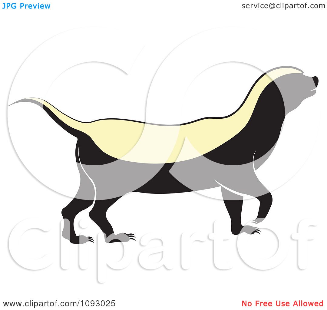 1080x1024 Honey Badger Clipart Skunk