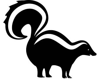 340x270 Top 80 Skunk Clipart