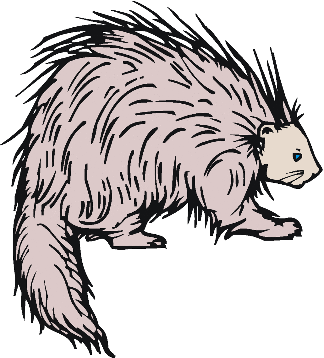 1031x1140 Top 92 Porcupine Clip Art