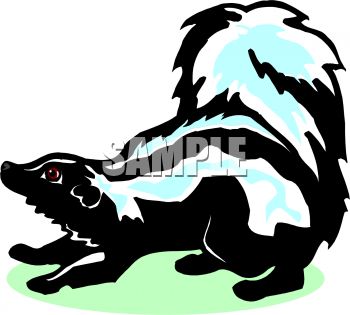350x315 Picture Of A Skunk With His Tail In The Air In A Vector Clip Art