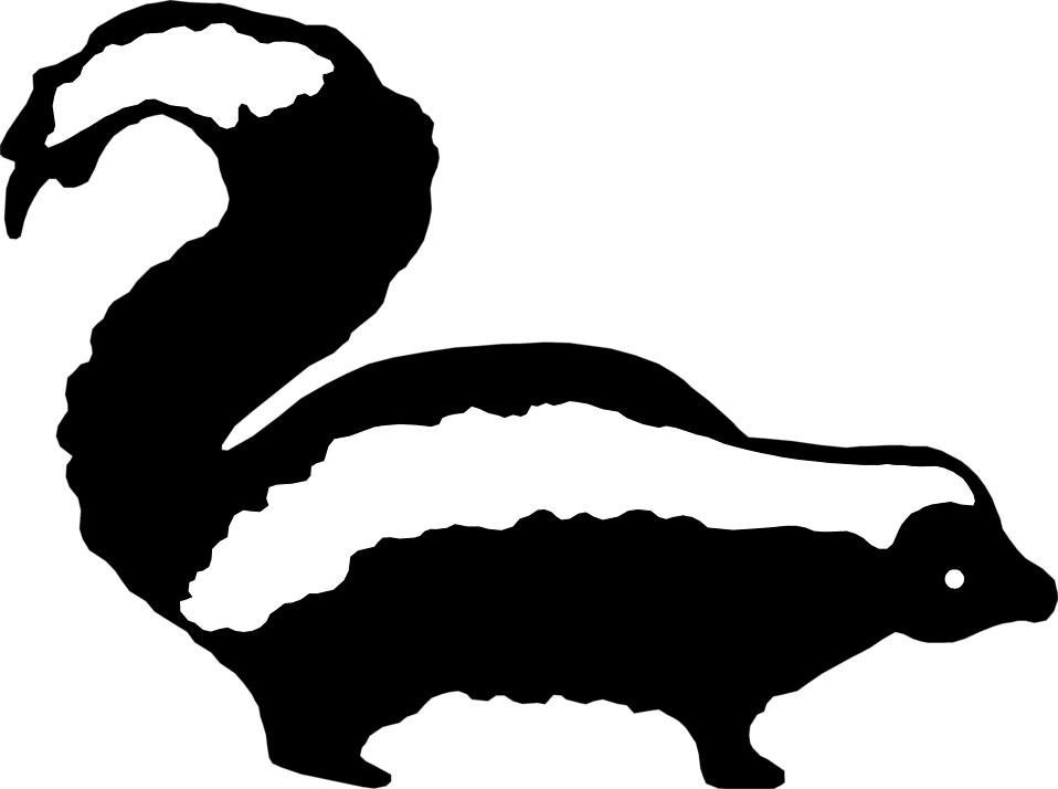 958x714 Skunk Free Stock Photo Illustration Of A Skunk