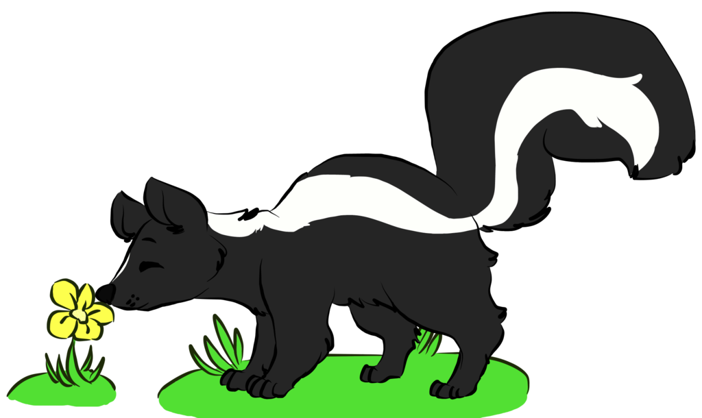 1024x610 Skunk Commission!! By Chara Has Knives