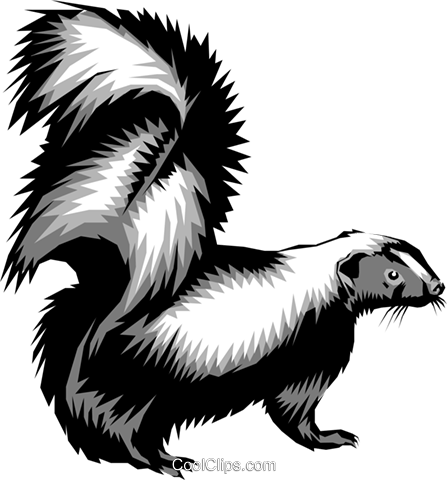 447x480 Skunks Royalty Free Vector Clip Art Illustration Anim0254