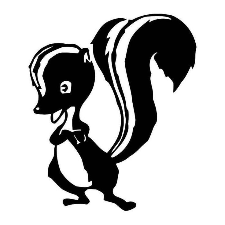 736x736 52 Best Skunk Images Animal Logo, Art Prints