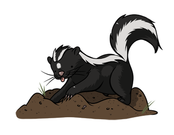 350x273 A Happy Little Skunk By Nieniechu