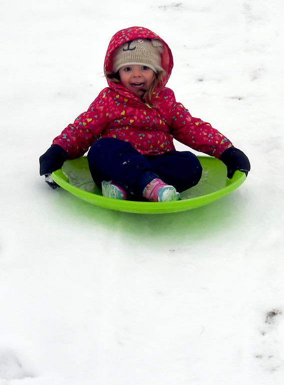 567x768 Photos Sledding In Longmont On Tuesday