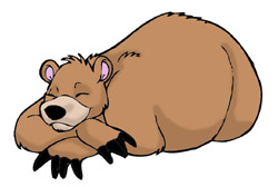 250x168 Sleeping Clipart Bear