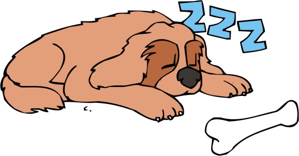 599x314 Sleeping Clipart Sleeping Dog