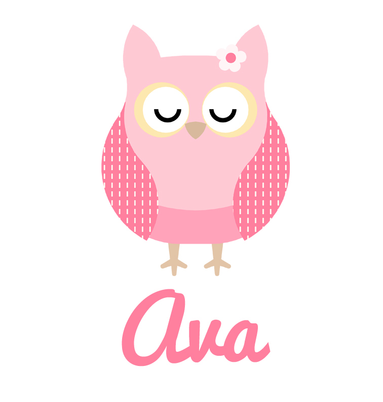 756x792 Girl's Name Pink Sleeping Owl Blanket Personalised Products