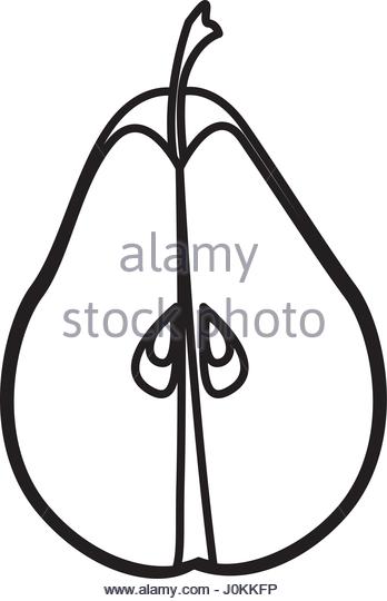 348x540 Vector Outline Pear Fruit Slice Stock Photos Amp Vector Outline Pear