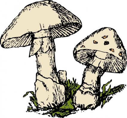 425x394 Mushroom Clip Art Download