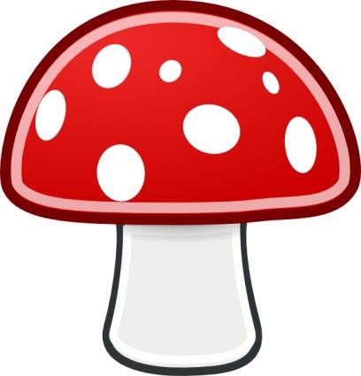 408x425 28 Best Funghi Images Mushrooms, Accessories