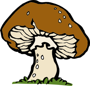 300x285 Big Mushroom Clip Art
