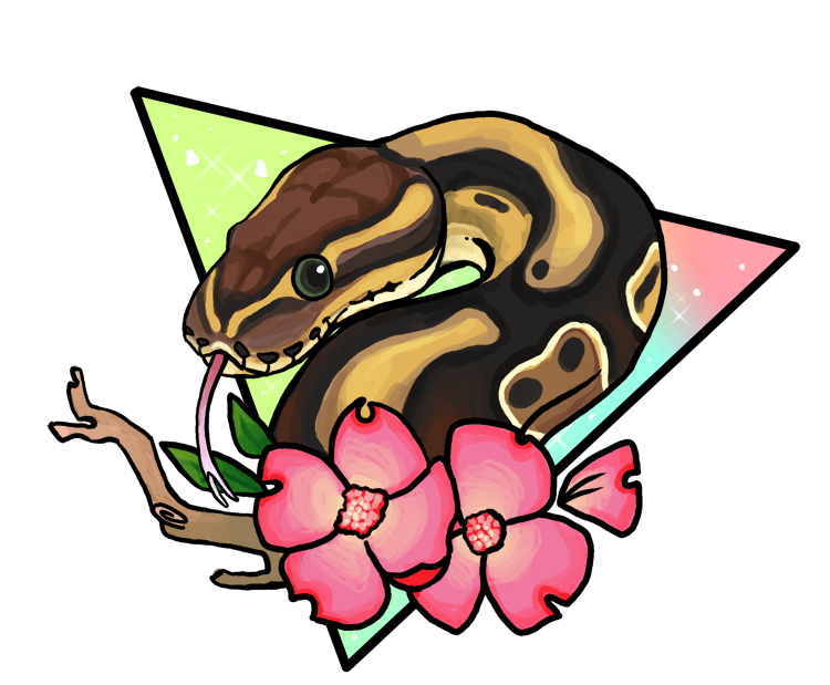 750x619 Magical Ball Python By Sloth Bug